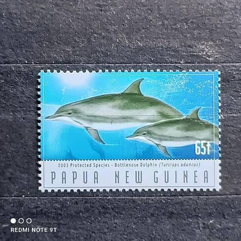 Papua nová Guinea **