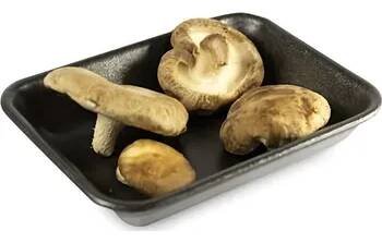 Shiitake čerstvé, vanička 80g