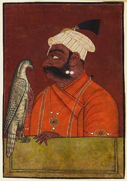 Falconry - Wikipedia