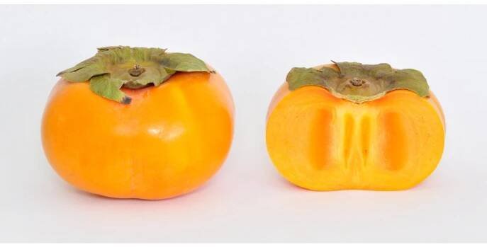 Diospyros kaki ´Jiro´ - japanese persimmon