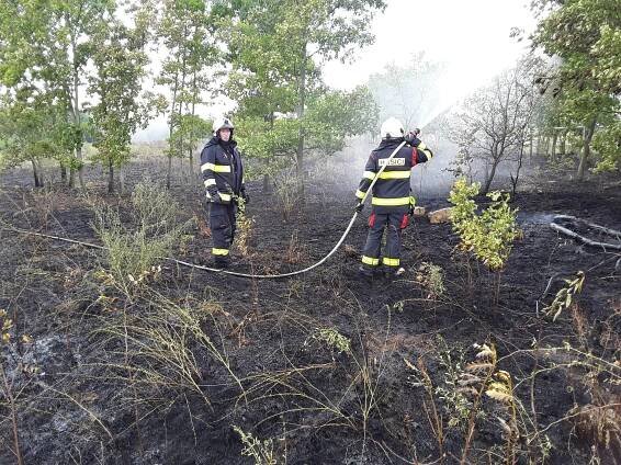 Dukovanští hasiči loni vyjeli k 60 zásahům, zachránili lidi z výtahu i bobra