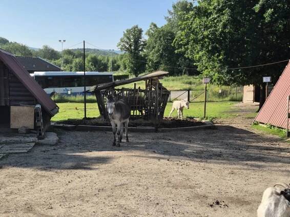 Akce školy | Mateřská škola Merklín