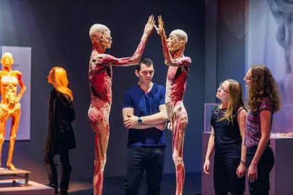 Starosta Prahy 7 neuspěl se zákazem výstavy mrtvol na Body the Exhibition