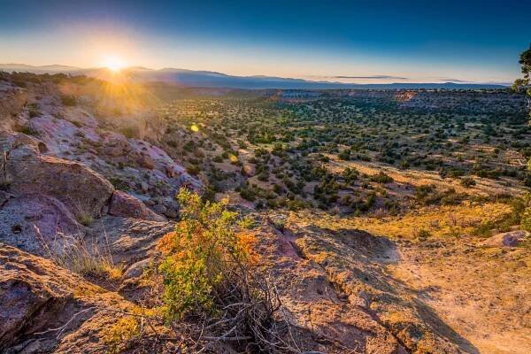 New Mexico 2024: Harris 52%, Trump 42% - Emerson Polling