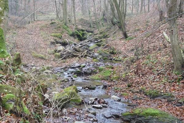 Borysławka (tributary of Wiar)