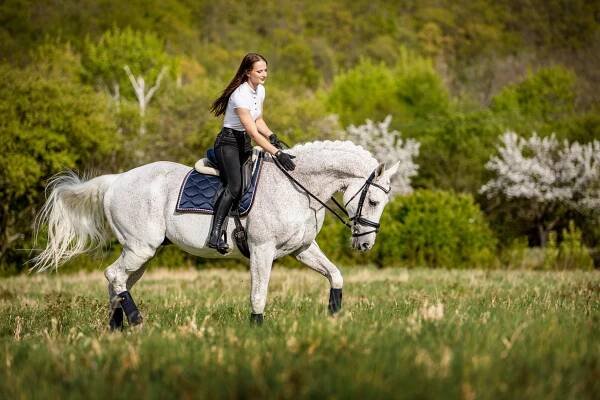 nabídka – AdPd Foto