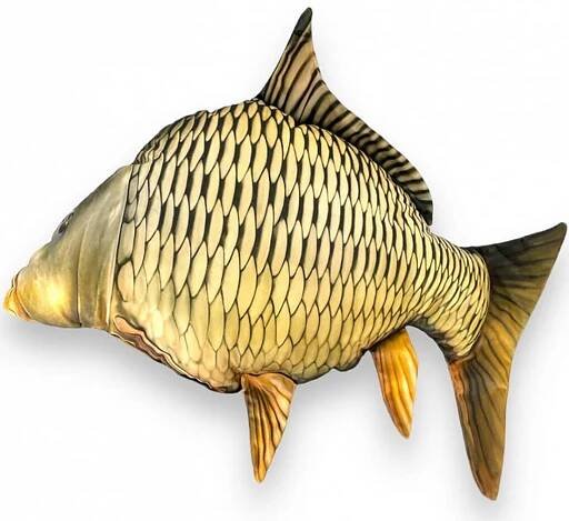 BeCare Polštář Kapr Šupináč L 67 cm