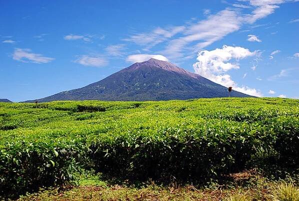 Jambi (provincie)