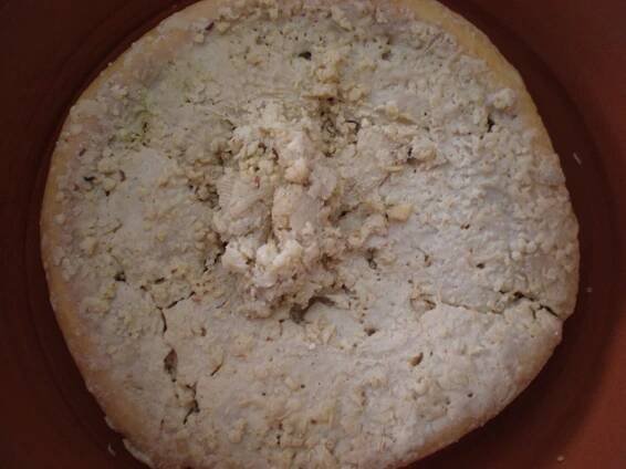 Casu marzu is a sheep milk cheese which contains live 1/3 inch maggots ...