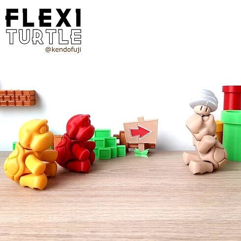 tortuga-impresion-3d.png flexi turtle