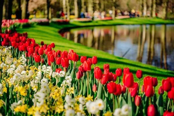 Autobusové zájezdy a výlety s CK Lehátko – Mniší, Kopřivnice - Keukenhof4.webp