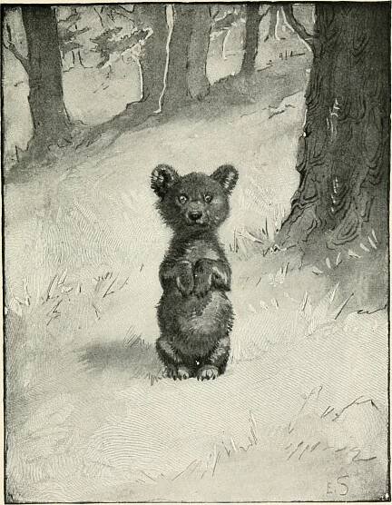 Ernest Thompson Seton – Wikipedie