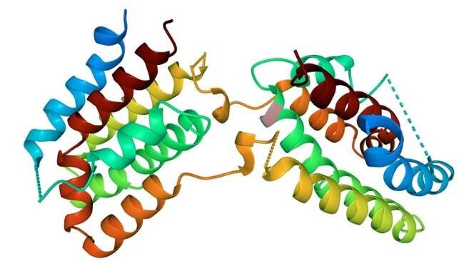 Struktura lidského interleukinu-10, 3D kreslený model izolovaný, bílé pozadí — Stock obrázek