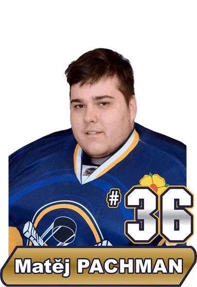 Soupiska - HC Střelci J. Hradec