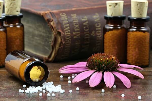 HISTORIE ŠKOLY – HOMEOPATICKÁ FAKULTA S KLINIKOU, Brno