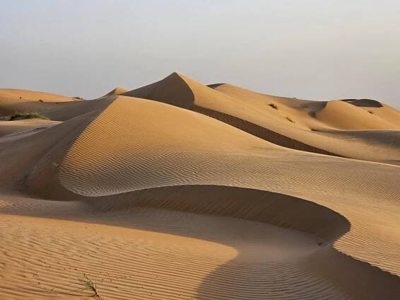 Omán - duny pouště Wahiba Sands