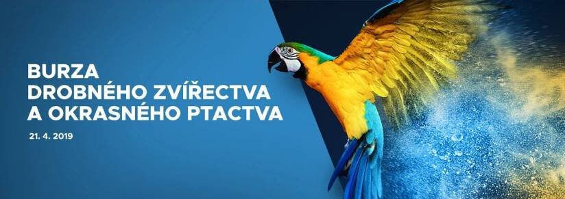 BURZA DROBNÉHO ZVÍŘECTVA A OKRASNÉHO PTACTVA - DUBEN