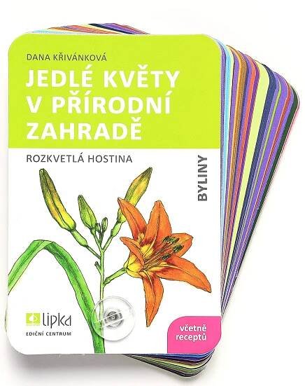 Jedlé květy v přírodní zahradě