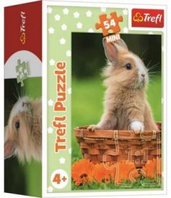 TREFL Displej Puzzle Roztomilá zvířátka 54 dílků (40 ks) | Patro.cz