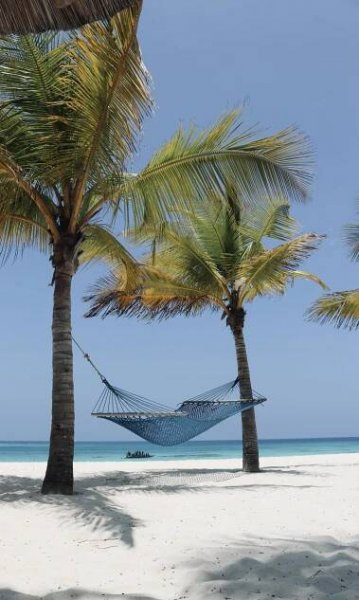 Zanzibar s jógou a poznáváním | Meraki Tours