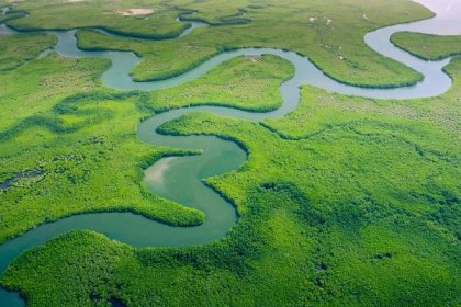 Fototapeta Aerial view of Amazon rainforest in Brazil, South America. Green forest. Bird's-eye view.