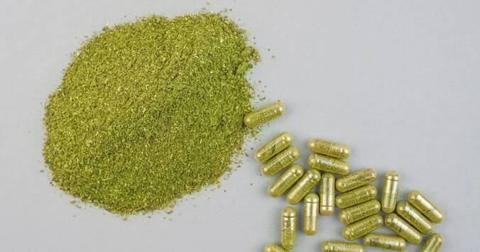 Ovlivňují vědomí, ale ne tak jako tvrdé drogy. Česká vláda řeší, jak naložit s kratomem, CBD a HHC