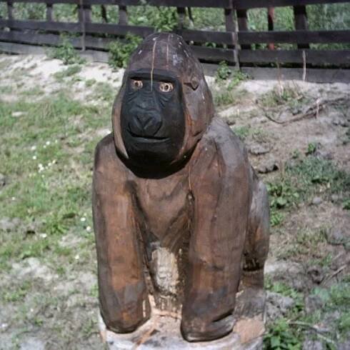 Galerie – První dřevěná ZOO – RH areál Ostrata