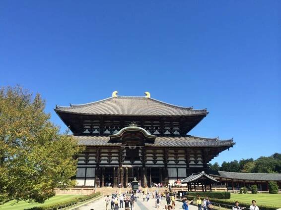 Nara アーカイブ - Kuokoaday: Discover Japan
