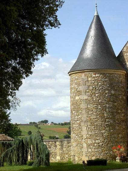 Vignobles Darricarrère – Le site des Châteaux Mendoce, Mille-Secousses et Rider
