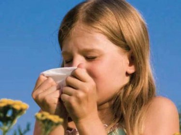 alergie z kapek do nosu