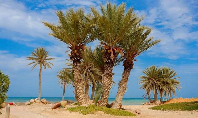 Hotel Odyssee Resort - Tunisko, Djerba | CK Čedok