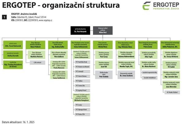 organizacni struktura