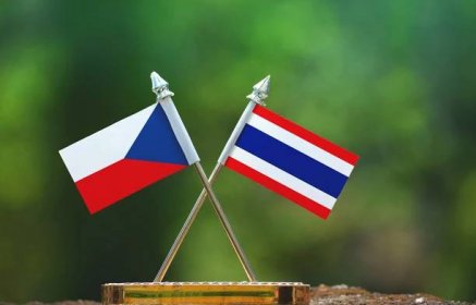 On-line individuální konzultace s ekonomickým diplomatem – Thajsko