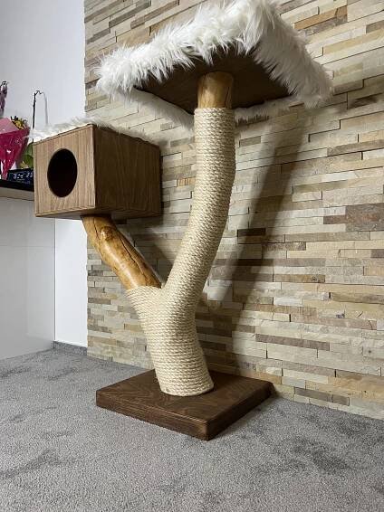 Kočičí strom Kukáň - Image 7