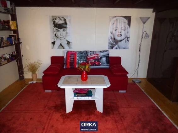 Pronájem, Byt 1+1, 46 m2, Olomouc, ul. Šantova, cena na vyžádání