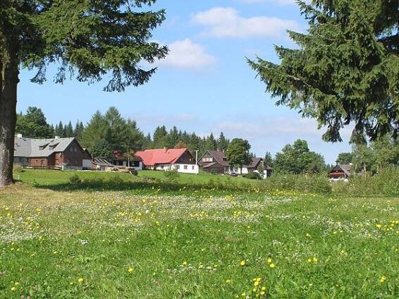 Rozkvetlé louky na Churáňově