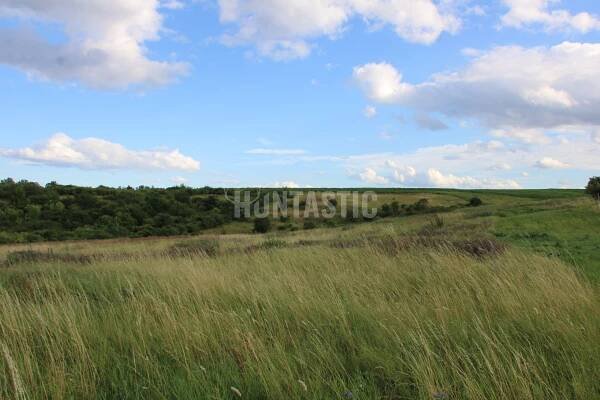 Honitba Troskotovice - Huntastic