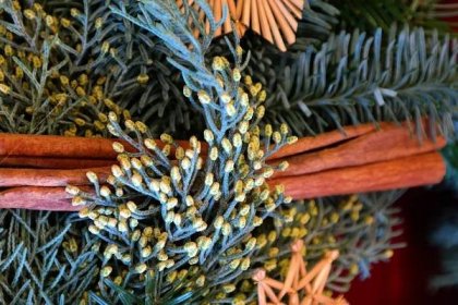 Jak využít pokojový cypřišek místo vánočního stromečku