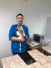 Doctor-DiK - ветклиника в Москве, отзывы и контакты клиники