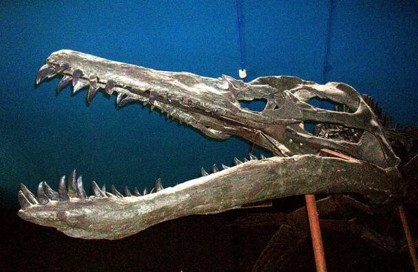 liopleurodon
