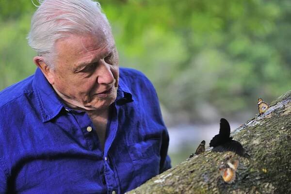 David Attenborough: Život v oblacích (2014)