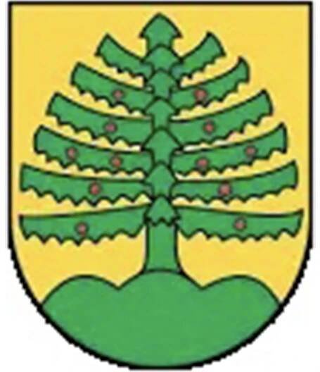 Unsere Partner*innen - mybuxi