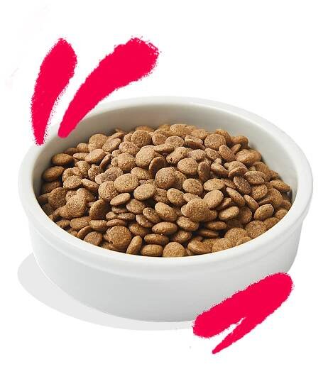 Product - Cat Senior Kibble Chicken Turkey