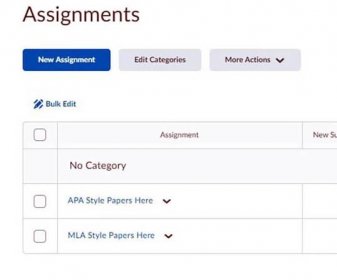 Photo image of Writing Services Appointment Screen - select Style APA or MLA Type for Assignment - click or tap for detailed view