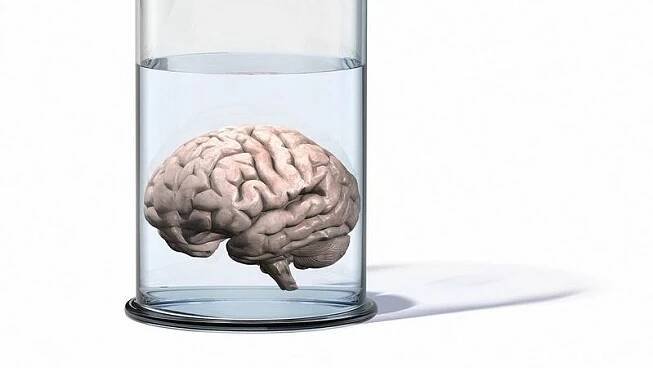 Lidský mozek dosáhl maximální inteligence