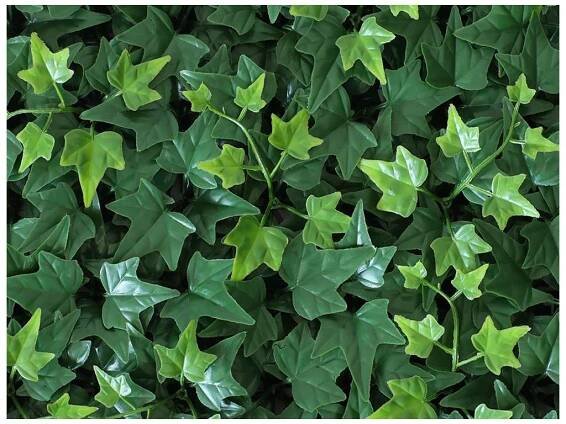 Panel umělý Břečťan Top (50x50cm) - Florum.cz