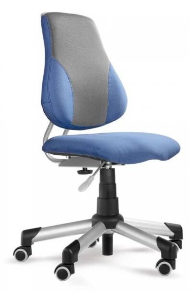 Dětská rostoucí židle Mayer ACTIKID A2 2428 42