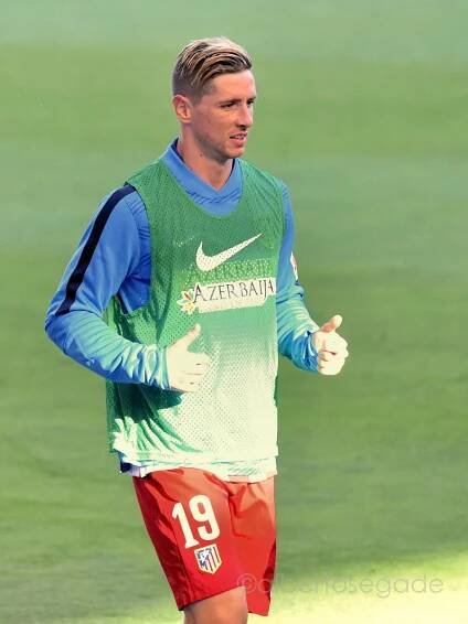 Fernando Torres - Wikipedia