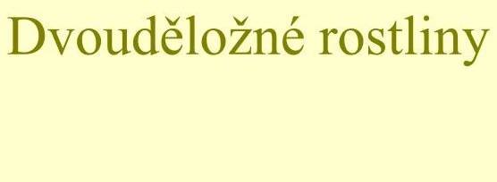 dvoud lo n rostliny