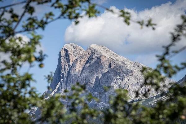 Hoferhof in Südtirol | Sommerurlaub auf der Plose im Eisacktal